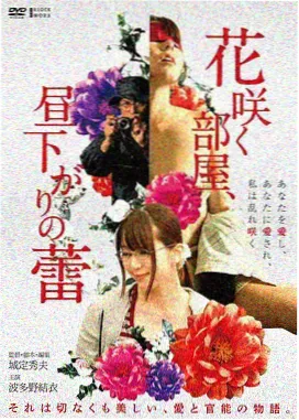 海雾电台排期